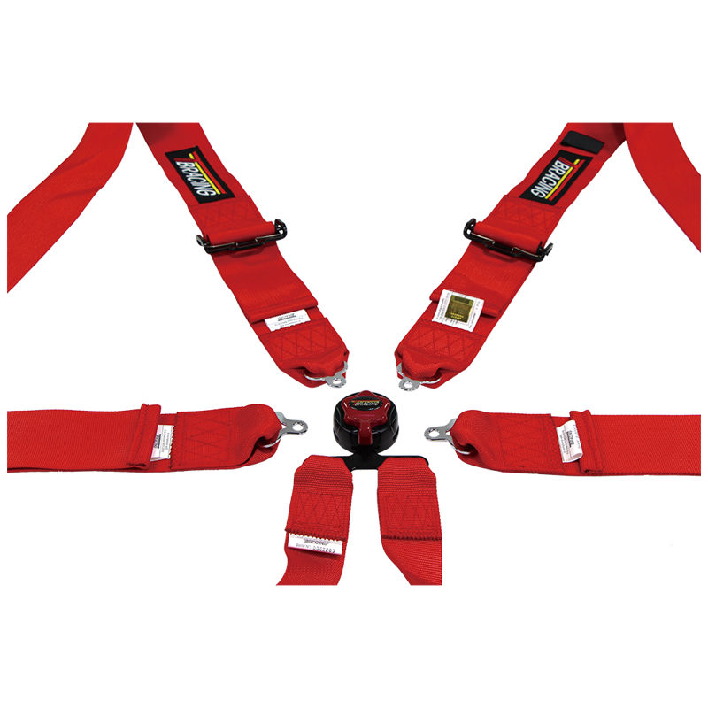 6-ANCHORAGE Point Racing Belt